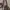 Michael Kors Luxury Casual Handbag Wanita pink photo 6