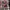 Streetwear Puffer jacket Pria pink black photo 7