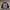 Streetwear Puffer jacket Pria pink black photo 1