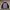 Streetwear Puffer Jacket Pria Pink Black