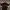 Lacoste Luxury Casual Polo shirt Pria brown photo 2