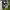 Nike Streetwear Casual Sneakers Pria black photo 1