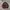 Sportswear Sweatshirt Pria brown photo 1