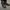 ZARA Luxury Cosplay Ankle boots Wanita black photo 2