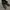 ZARA Luxury Cosplay Ankle boots Wanita black photo 1
