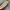 Von Dutch Vintage Y2K Wanita pink photo 6