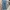 Streetwear Skater Jeans Pria blue photo 1