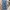 Streetwear Skater Jeans Pria Blue