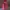 Lafuma Vintage Casual Parka Pria red photo 2