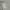 Streetwear Casual Sweatshirt Pria navy gray photo 6