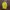 Lafuma Sportswear Casual Windbreaker Pria green yellow photo 1