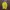 Lafuma Sportswear Casual Windbreaker Pria Green Yellow