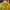 Lafuma Sportswear Casual Windbreaker Pria green yellow photo 3