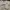 The North Face Sportswear Casual Sweatshirt Pria white photo 7
