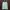 The North Face Sportswear Casual Sweatshirt Pria white photo 1