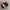 Nike Air Jordan Streetwear Sneakers Wanita white red photo 1