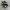 VANS Streetwear Sneakers Wanita multicolor photo 2