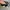 VANS Streetwear Sneakers Wanita multicolor photo 3