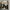 Nike Air Jordan Streetwear Sneakers Wanita multicolor photo 5