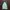 Adidas Sportswear Casual Track jacket Pria white green photo 2
