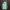 Adidas Sportswear Casual Track Jacket Pria White Green