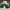 Adidas Sportswear Casual Track jacket Pria white green photo 5