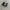 VANS Skater Sneakers Wanita white black photo 1