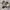 Nike Streetwear Casual Sweater Pria gray photo 6