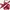 Victoria’s Secret Minimalist Wanita Red