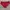 Victoria’s Secret Minimalist Wanita red photo 2
