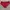 Victoria’s Secret Minimalist Wanita red photo 2