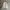 Covernat Casual Fleece Pria cream photo 1