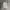 Kangol Casual Fleece Pria white photo 1