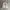 Streetwear Fleece Pria gray photo 1