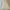 ZARA Vintage Fairy Babydoll dress Wanita white photo 1