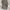 Y2K Grunge Short Wanita blue gray photo 2