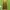 Anna Sui Batik Babydoll Dress Wanita Green
