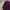 Vintage Sweater Pria burgundy photo 2