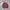 Vintage Cardigan Pria pink photo 1