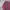 Vintage Cardigan Pria pink photo 2