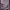 Casual Sweatshirt Wanita purple photo 1