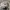 Sportswear Sneakers Pria white black photo 8