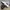 Sportswear Sneakers Pria white black photo 6