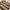 Streetwear Casual Sweater Pria tan brown photo 3