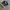 VANS Skater Sneakers Pria white black photo 2