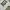 Nike Streetwear Y2K Jersey Pria white green photo 4
