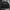 Carhartt Grunge Casual Sweatshirt Pria black photo 1