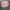 Casual Sweater Wanita pink photo 4