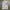 JW Anderson Streetwear Casual Formal Shirt Pria White