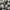 niko and ... Streetwear Casual Formal shirt Pria white black photo 4